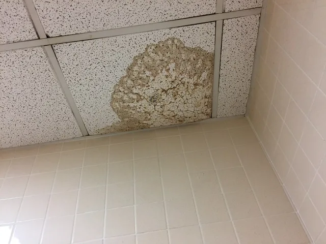 Damage of a ceiling panel caused by a leaking pipe. Water restoration technicians in Canada: hiring basics