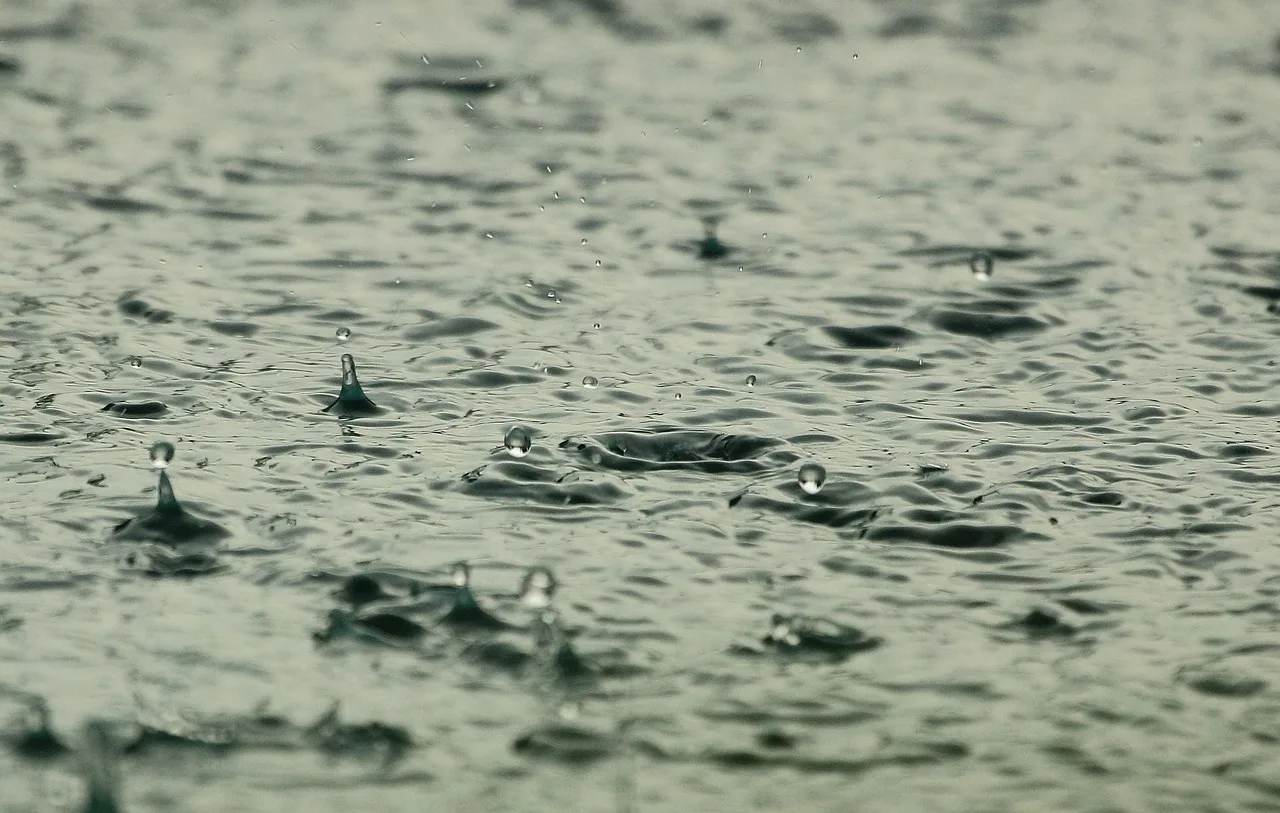 water, raindrops, raining, nature, wet, liquid, splashing, drops, rain, rainfall, water droplets, aqua. What Drying Logs Do Insurance Adjusters Actually Check?