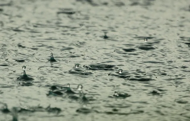water, raindrops, raining, nature, wet, liquid, splashing, drops, rain, rainfall, water droplets, aqua. What Drying Logs Do Insurance Adjusters Actually Check?