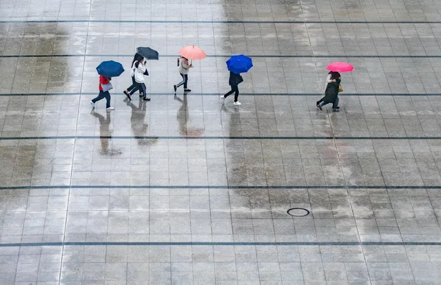 rain, nature, people, umbrellas, wet, weather, thunderstorm. Setting water restoration prices that cover costs and leave a margin, explained