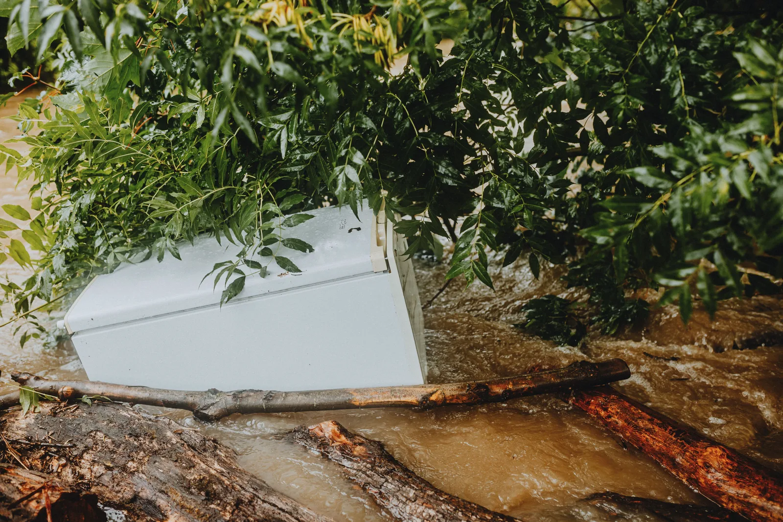 Washer caught in floodwaters, surrounded by debris and green foliage during a storm. How to Cost Profitable Water Restoration Services