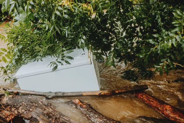 Washer caught in floodwaters, surrounded by debris and green foliage during a storm. How to Cost Profitable Water Restoration Services