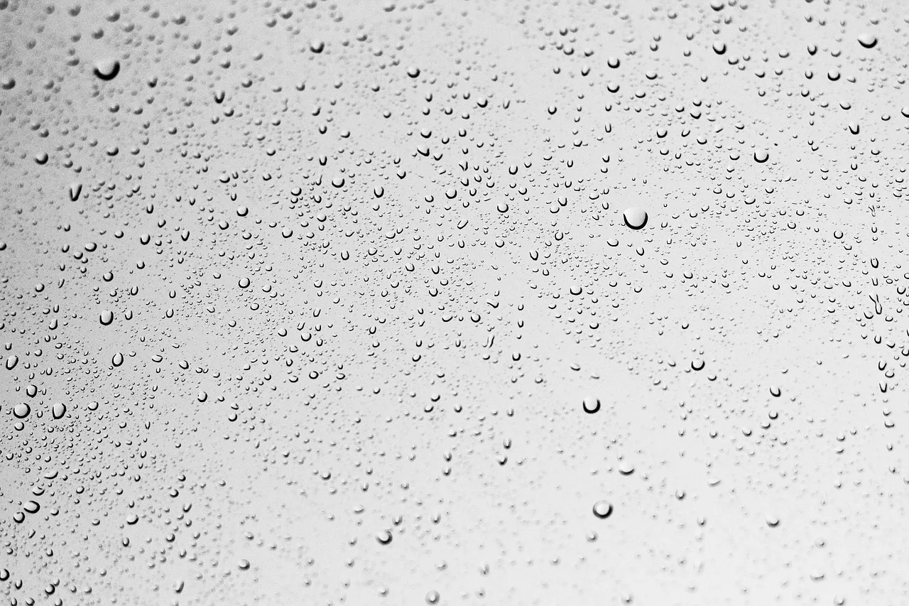 window, glass, wet, water drops, droplets, raindrops, glass window, surface, window, window, water drops, water drops, water drops, water drops, water drops, raindrops, raindrops, raindrops. Water Restoration Companies Bill Insurance: File Prep
