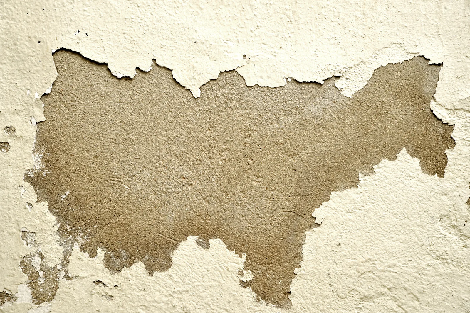 Close-up of a wall with peeling paint revealing the rough texture underneath. Water restoration license requirements: what to ask