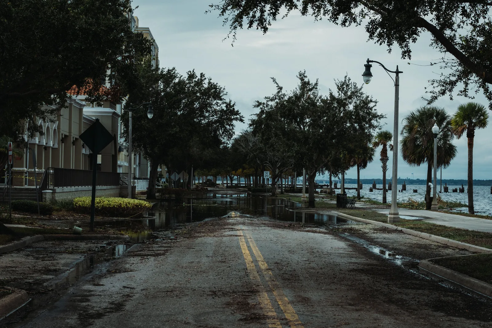 A flooded urban street with palm trees, buildings, and puddles, under a cloudy sky. Water restoration services: adding and retiring a line