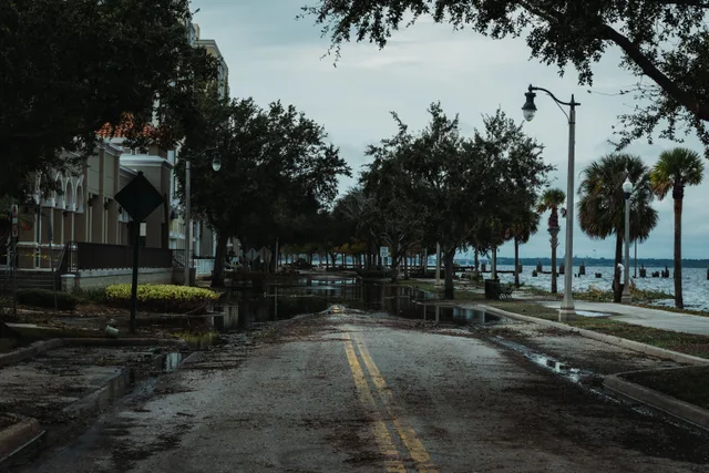 A flooded urban street with palm trees, buildings, and puddles, under a cloudy sky. Water restoration services: adding and retiring a line