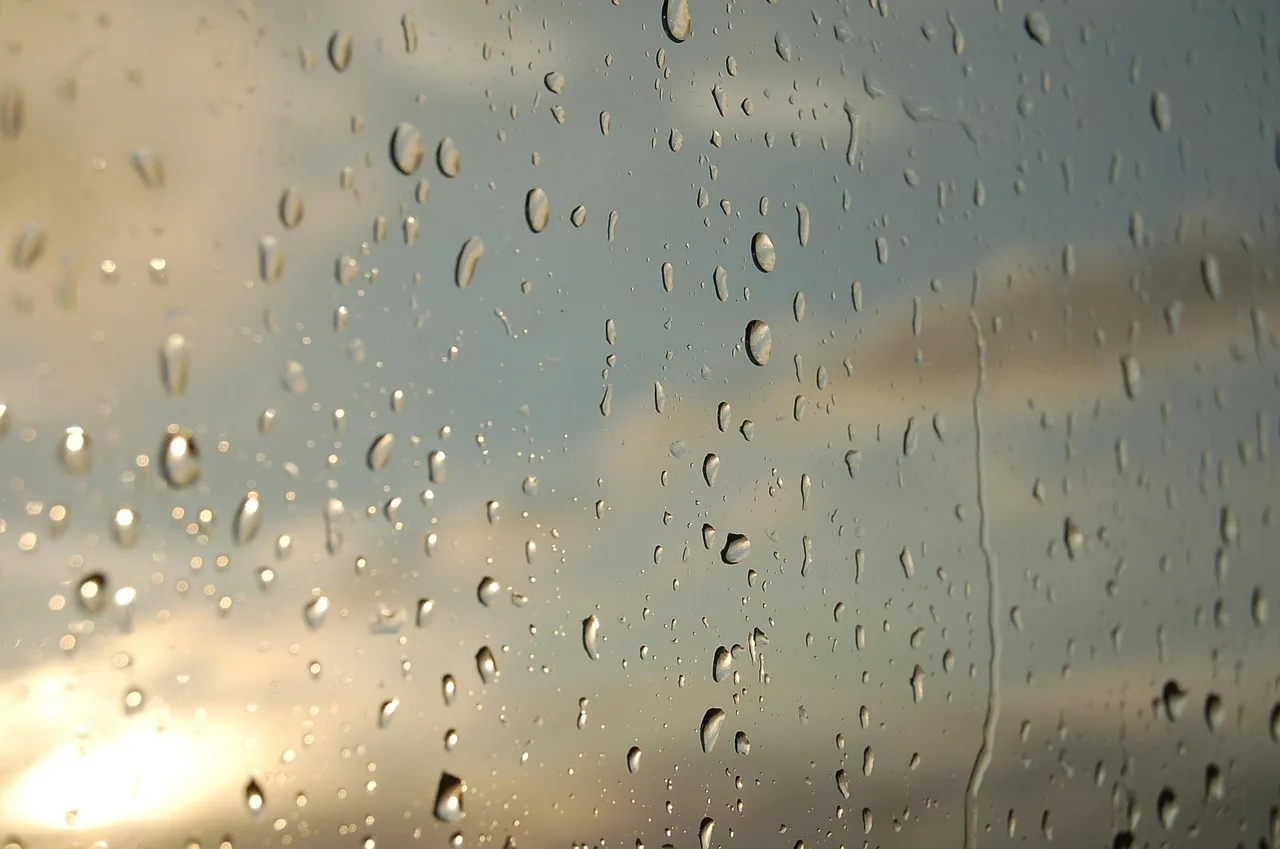 water, window, drops, wet, raindrops, rainy, nature, droplets, water droplets, glass, glass window, rain. Water restoration software requirements and the KPIs to track
